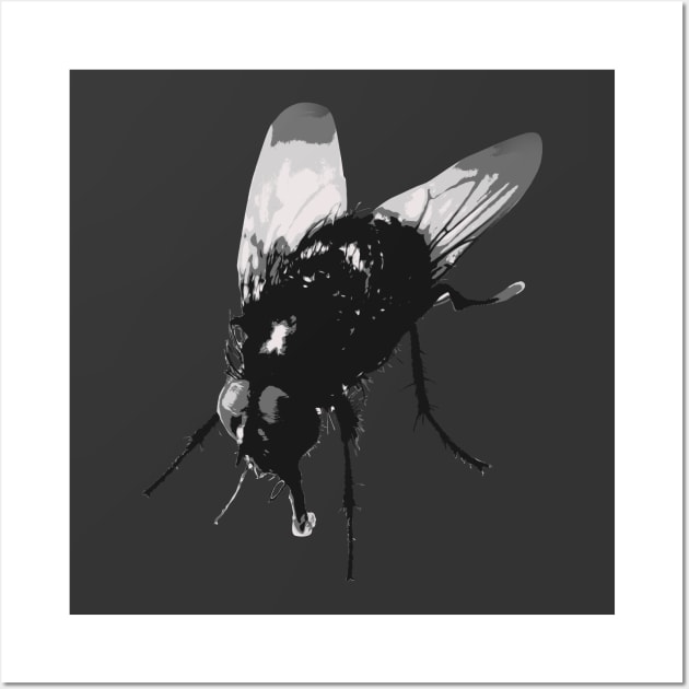 Pretty Giant Fly for Insect Lovers Wall Art by Pirino